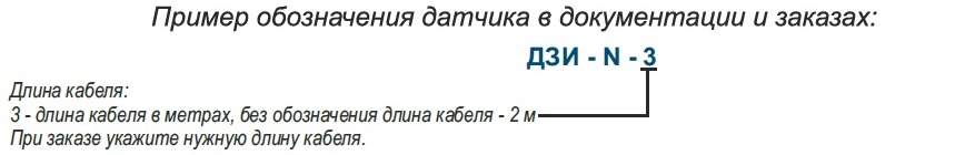 Пример обозначения датчиков ДЗИ-N в документации и заказах