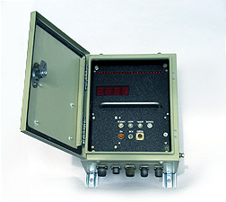 Индикатор веса электронный ИВЭ-50-10